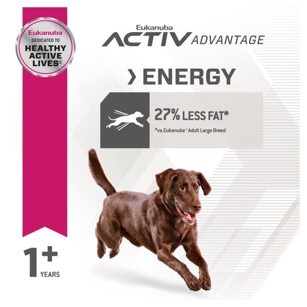 Eukanuba™ Fit Body Large Breed Dry Dog Food | Eukanuba NZ
